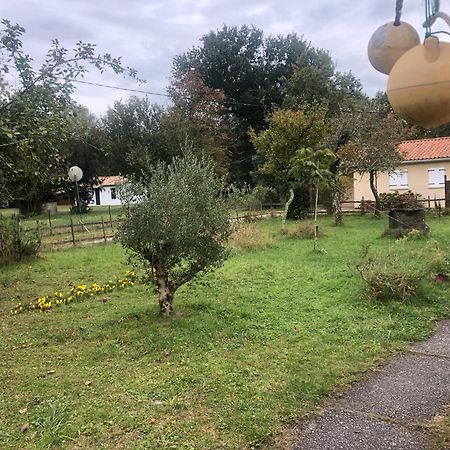 Petite Maison Rustique Et Atypique Hourtin Bagian luar foto